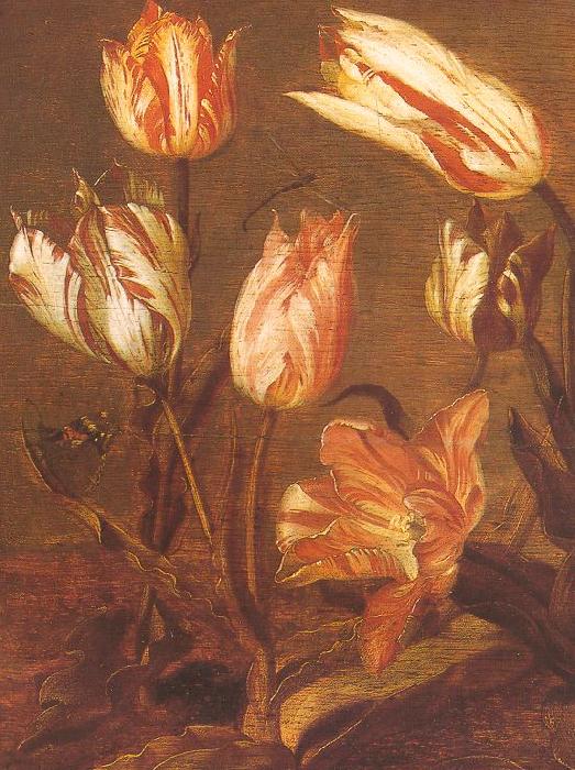 Jacob Gerritsz Cuyp Tulip Field Sweden oil painting art